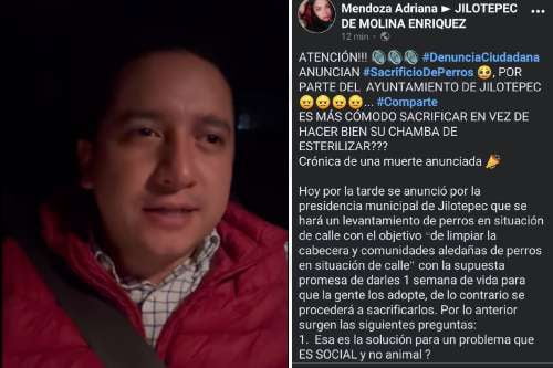 Video: Desmiente alcalde de Jilotepec sacrificio de callejeritos; hara el primer centro de Bienestar Animal